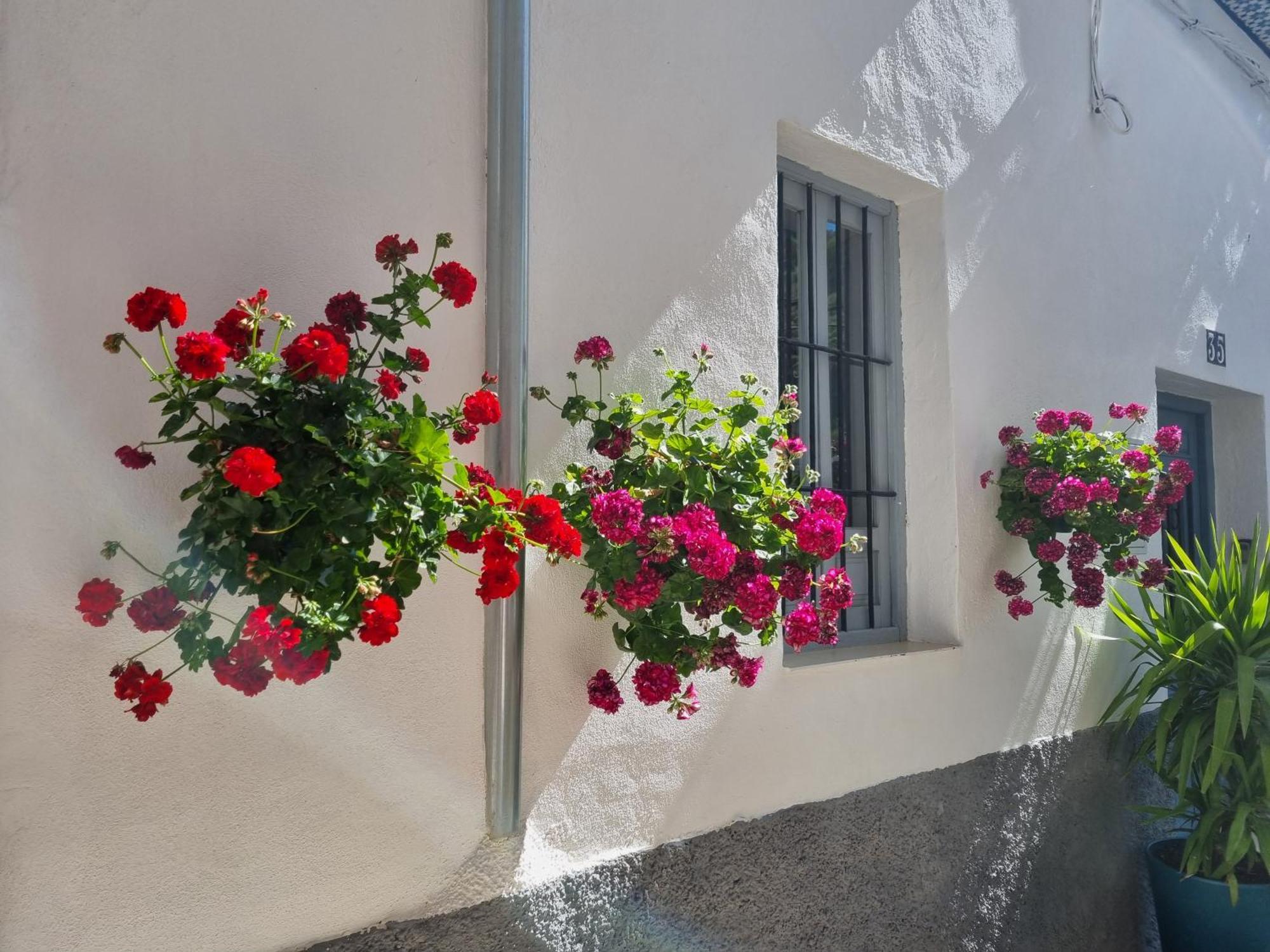 Casita Cazorla Villa Bagian luar foto